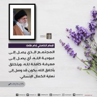 صور متفرقة